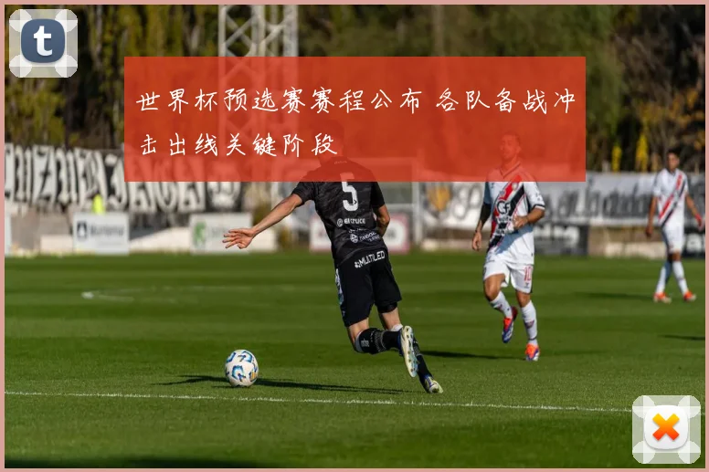 世界杯预选赛赛程公布 各队备战冲击出线关键阶段