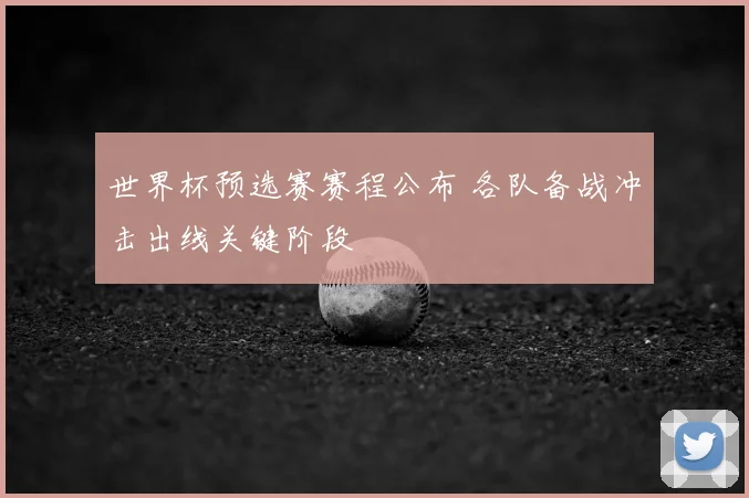 世界杯预选赛赛程公布 各队备战冲击出线关键阶段