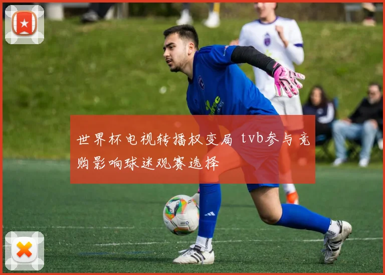 世界杯电视转播权变局 tvb参与竞购影响球迷观赛选择